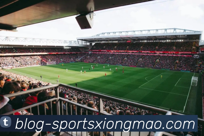 App Interface Preview